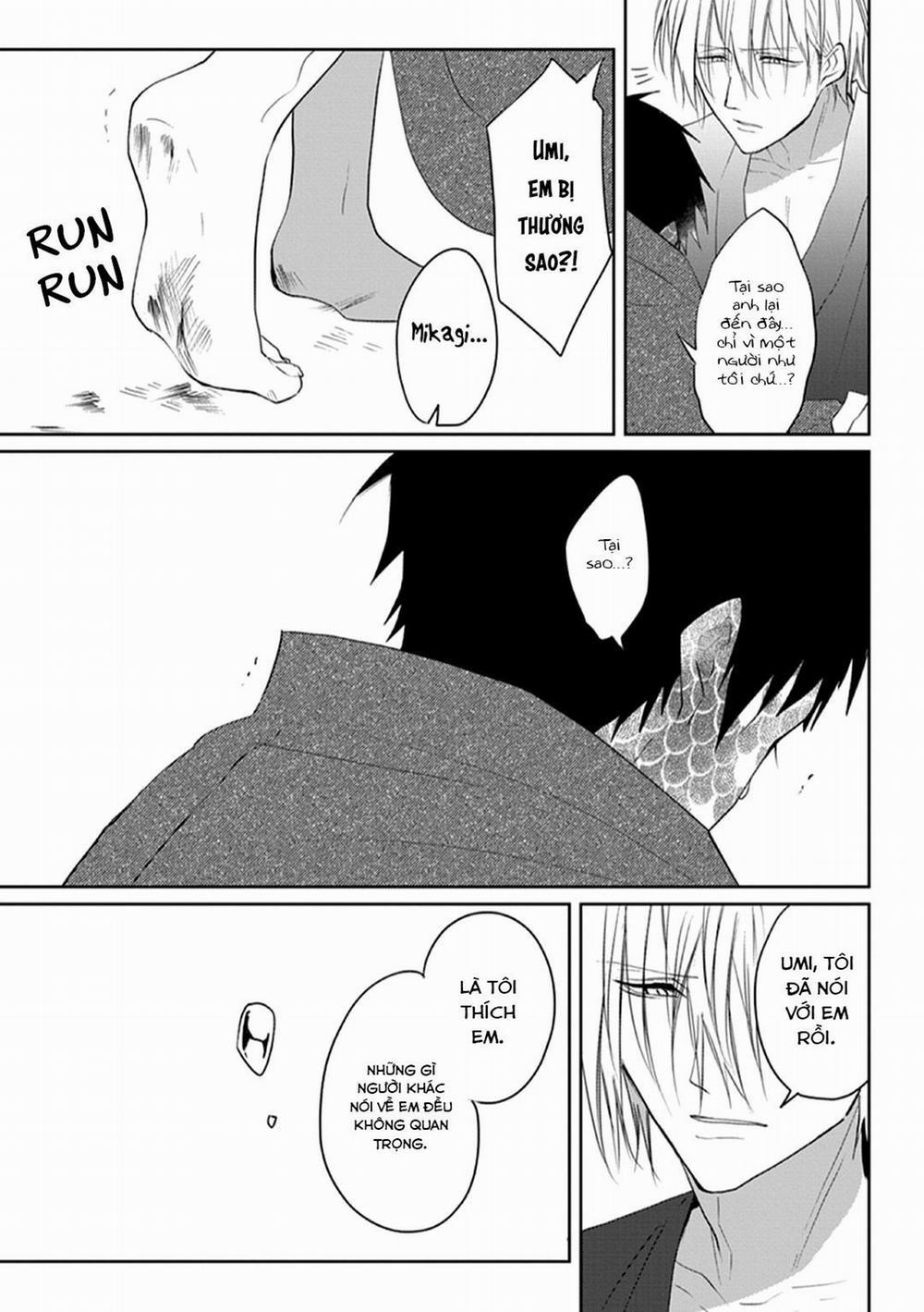 Nàng Tiên Cá Thân Yêu Nhất Của Tôi 6 trang 4