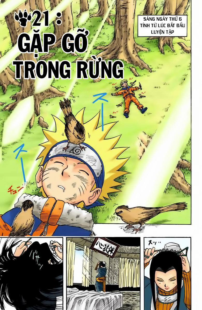 Naruto Full Color Edition 21 trang 0