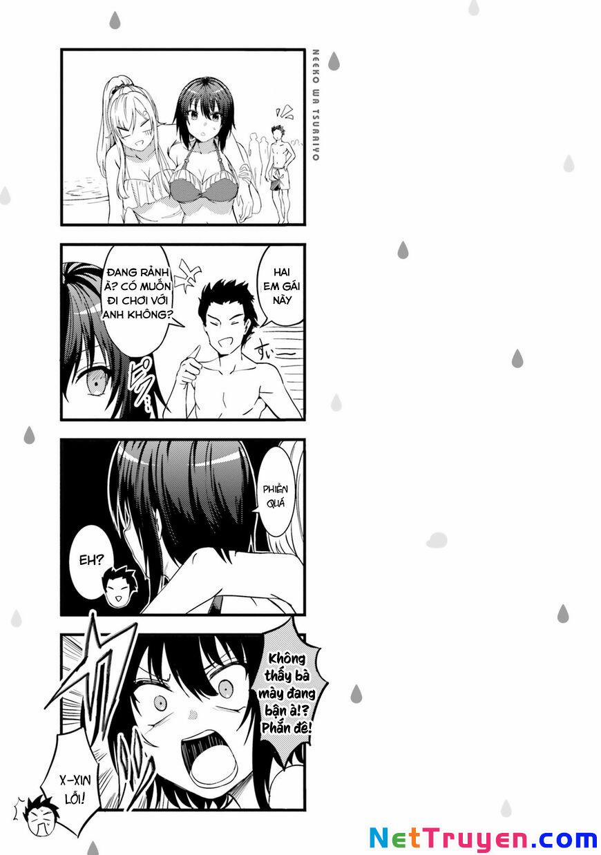 Neeko Wa Tsurai Yo 24 trang 12