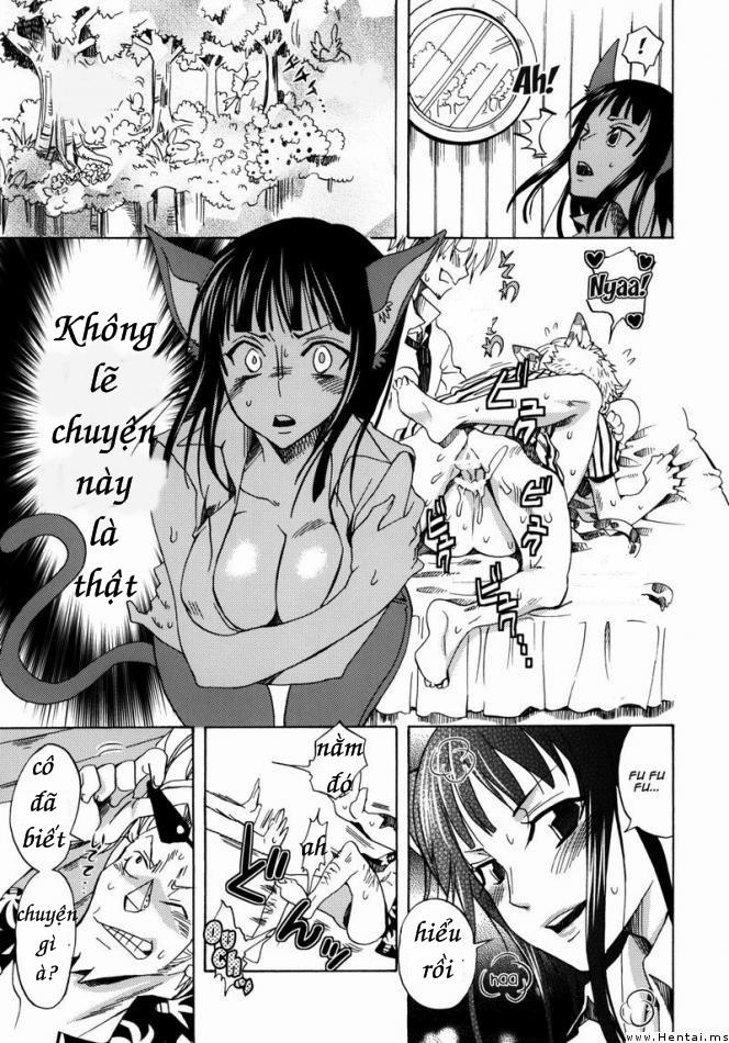 Neko Neko No Mi (One Piece) Oneshot trang 5