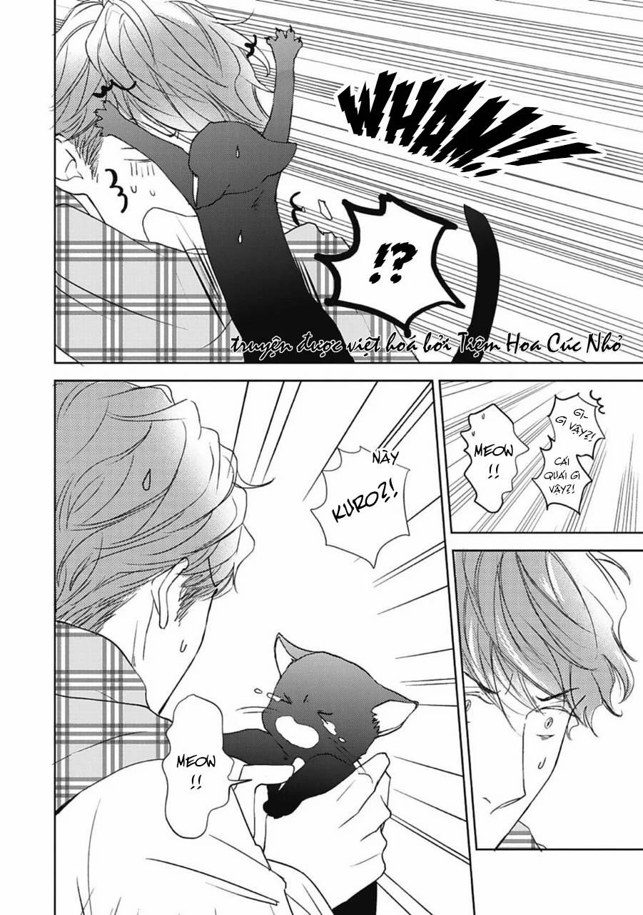 Neko To Spica 7 trang 15