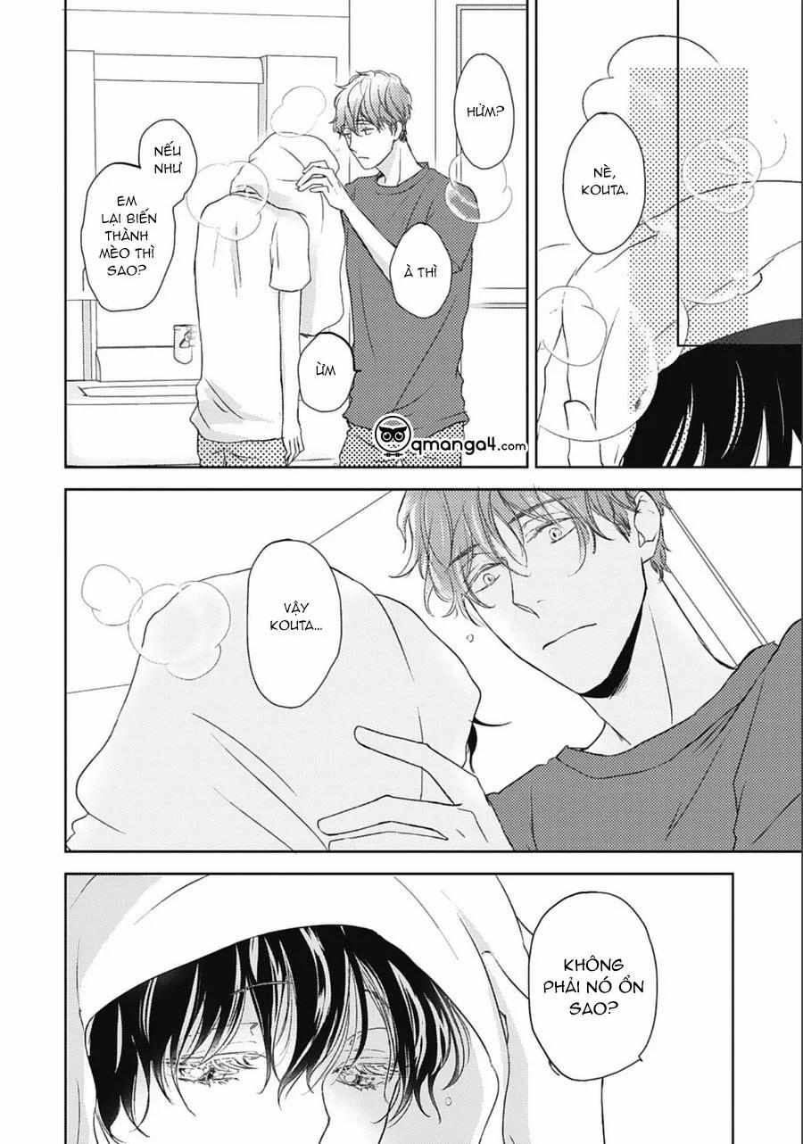 Neko To Spica 8 trang 13