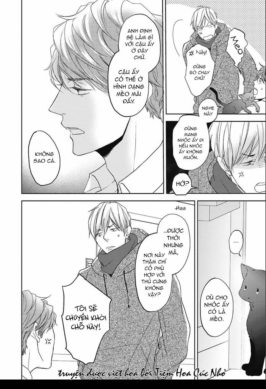 Neko To Spica 8 trang 5