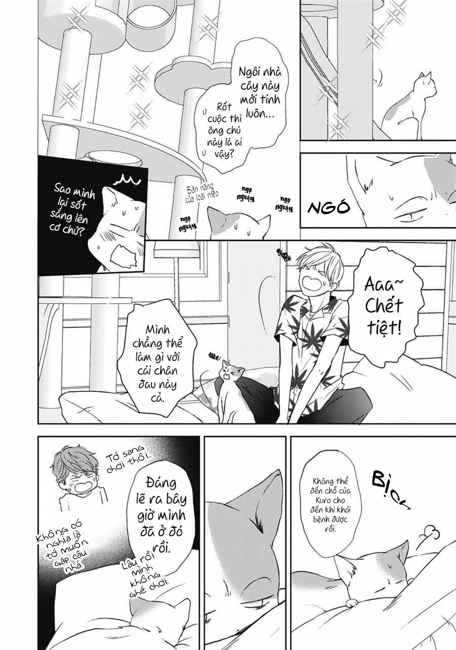 Neko To Spica 9 trang 17