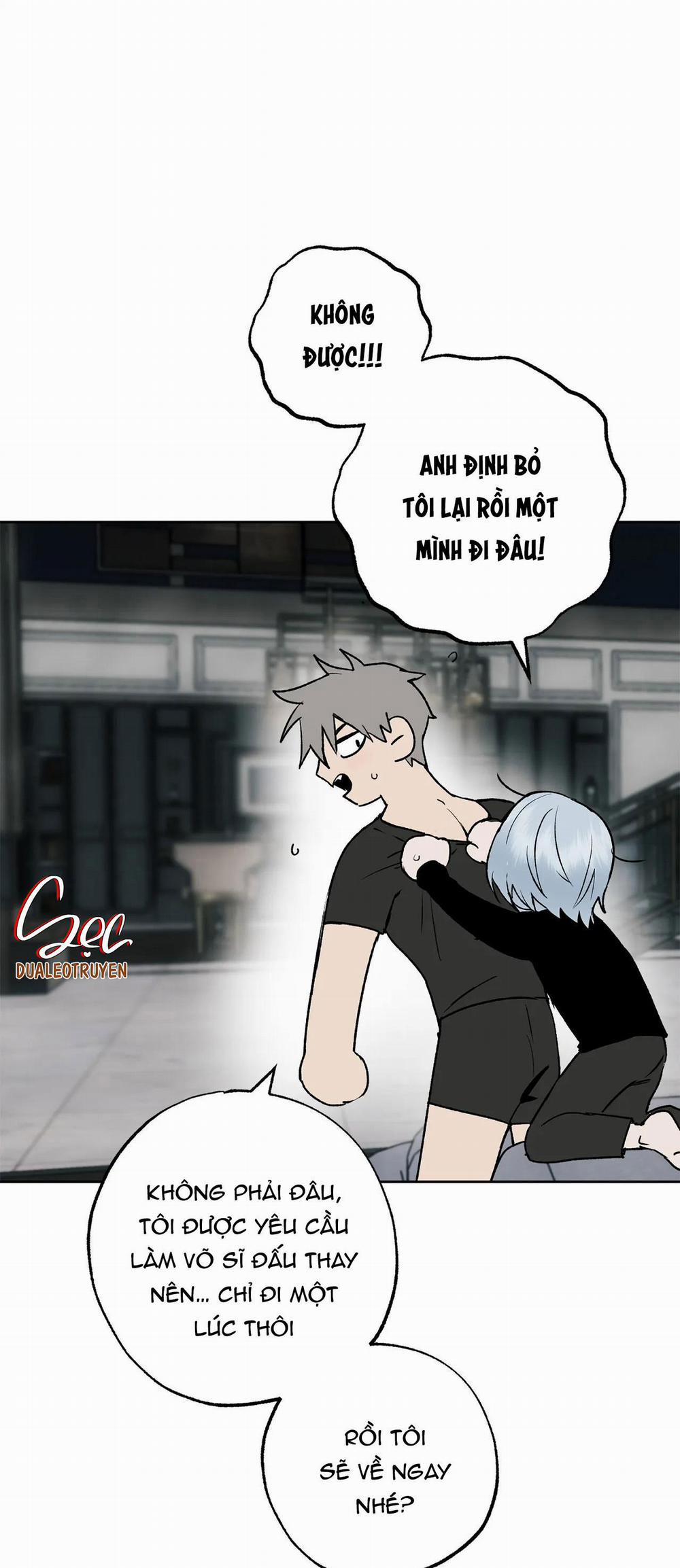 NEW ROMANCE 21 trang 0