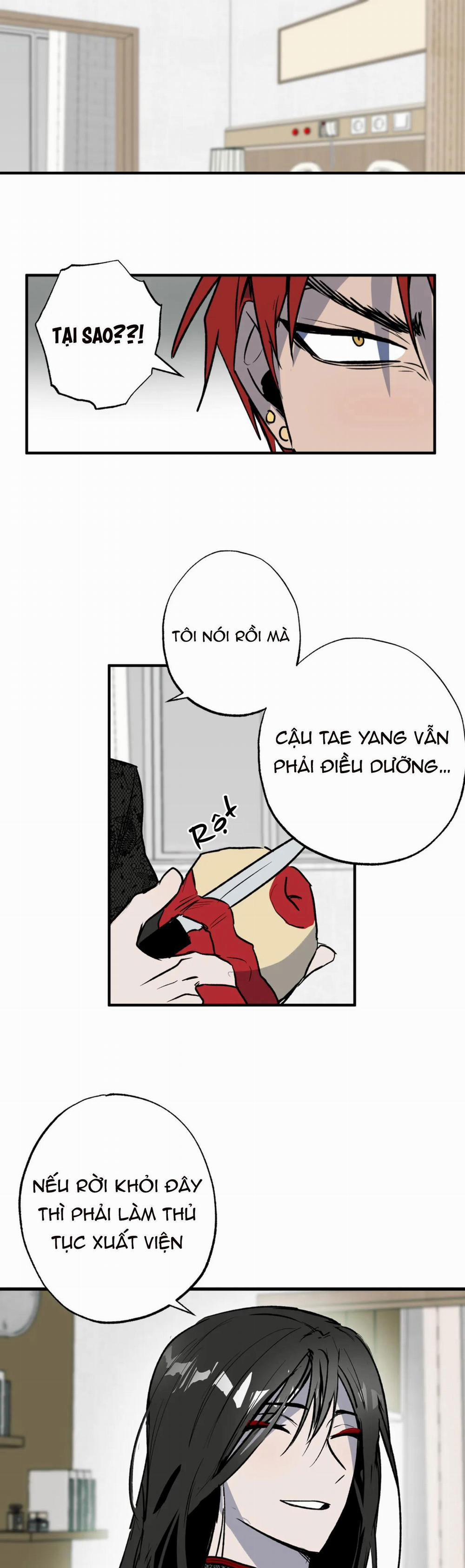 NEW ROMANCE 28 trang 0