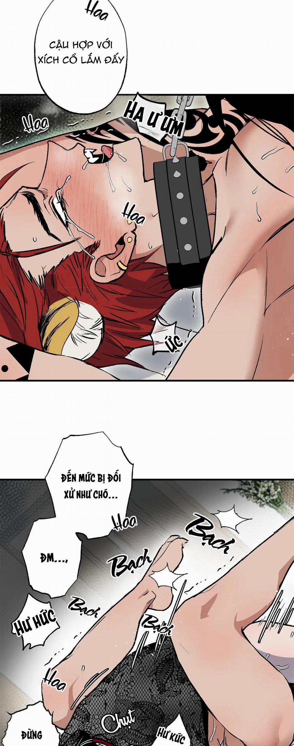 NEW ROMANCE 30 trang 15