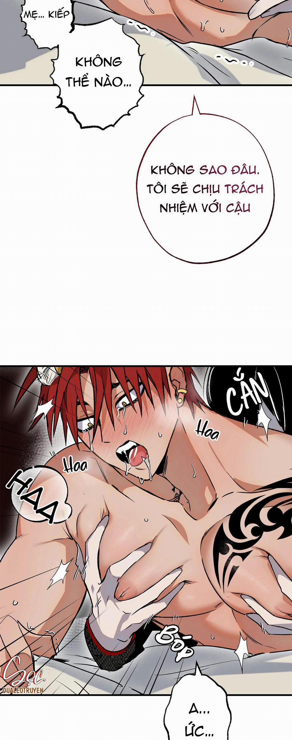 NEW ROMANCE 30 trang 2