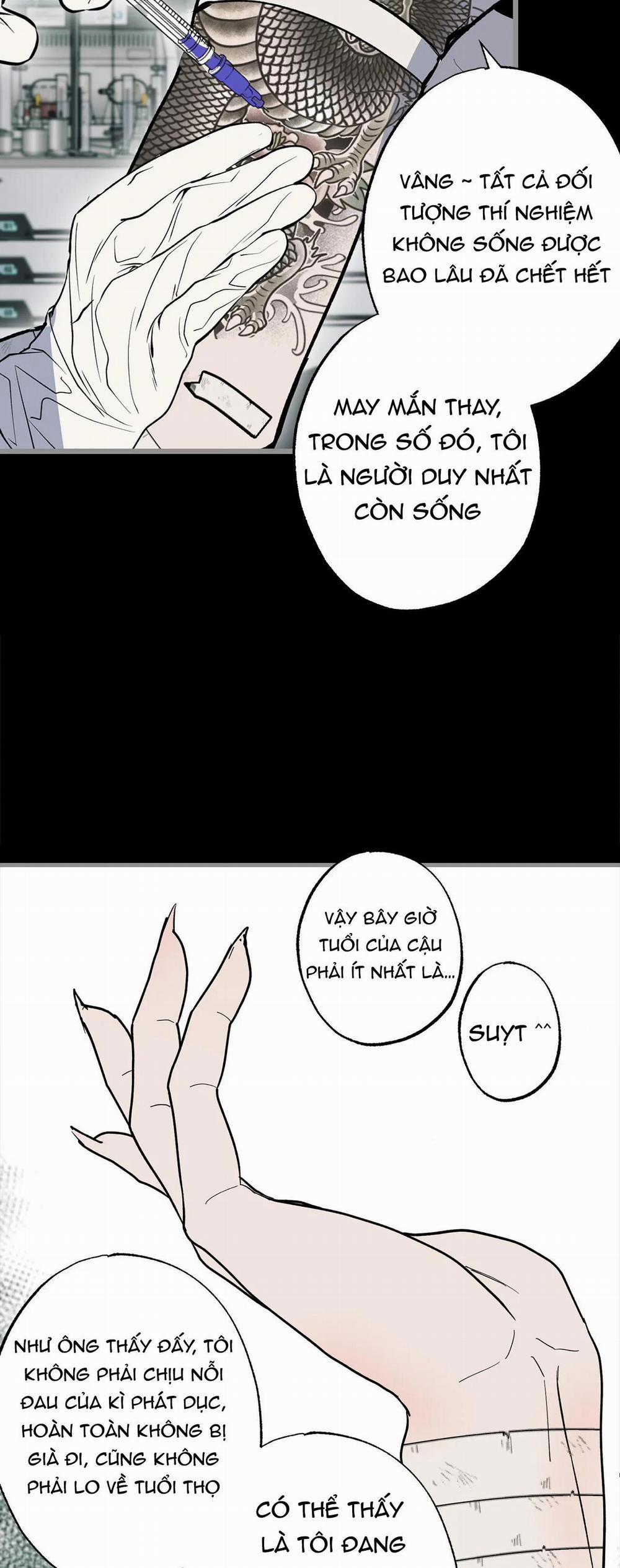 NEW ROMANCE 30 trang 30