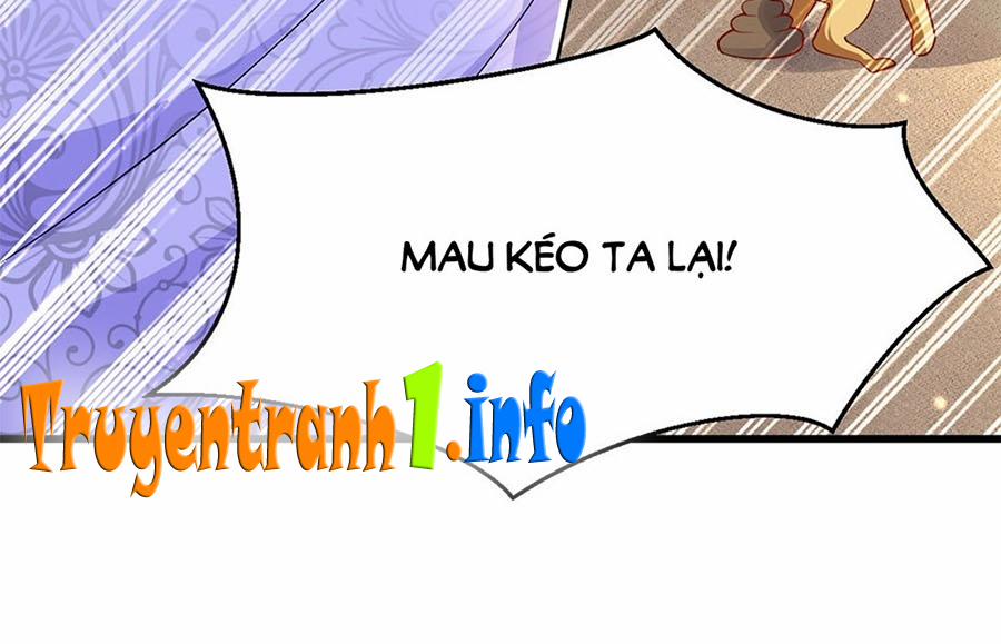 Ngã Tại Hậu Cung Đương Đại Lão 10 trang 17