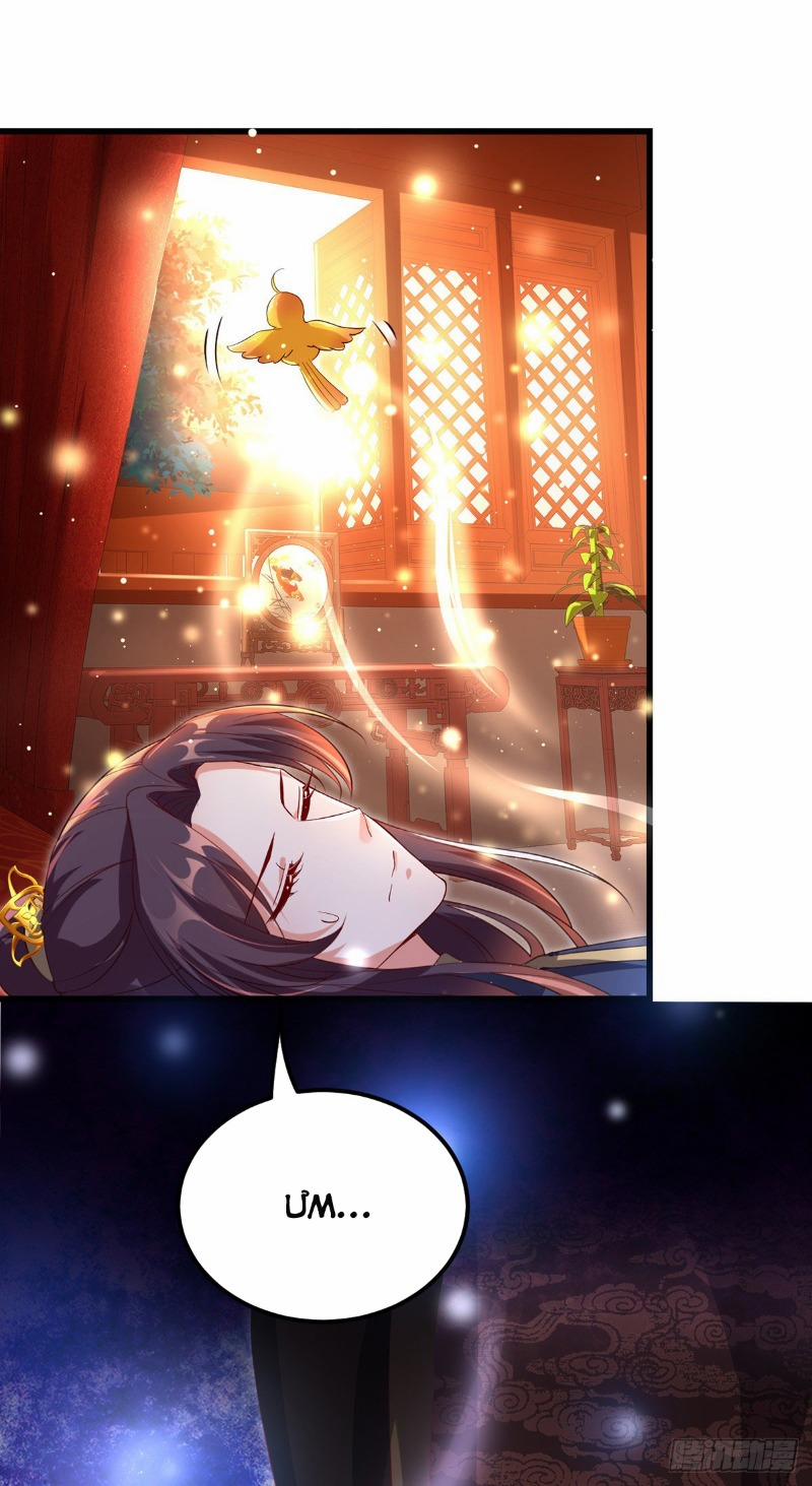 Ngã Tại Hậu Cung Đương Đại Lão 22 trang 11