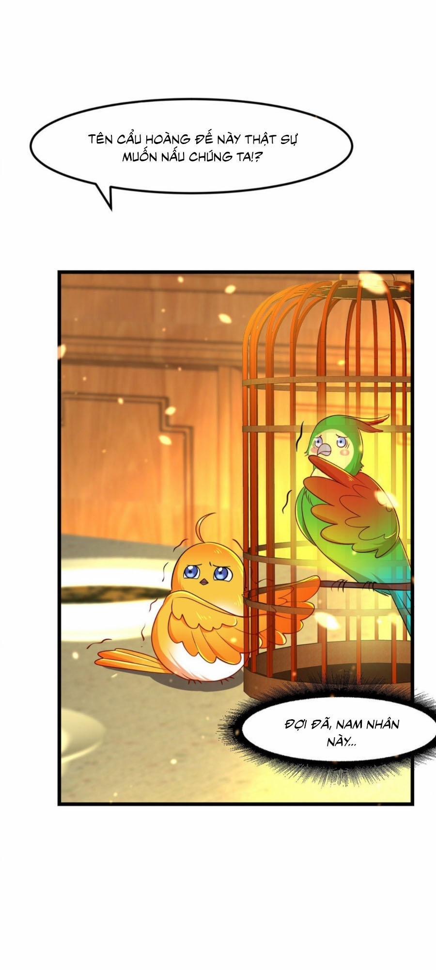 Ngã Tại Hậu Cung Đương Đại Lão 7 trang 15