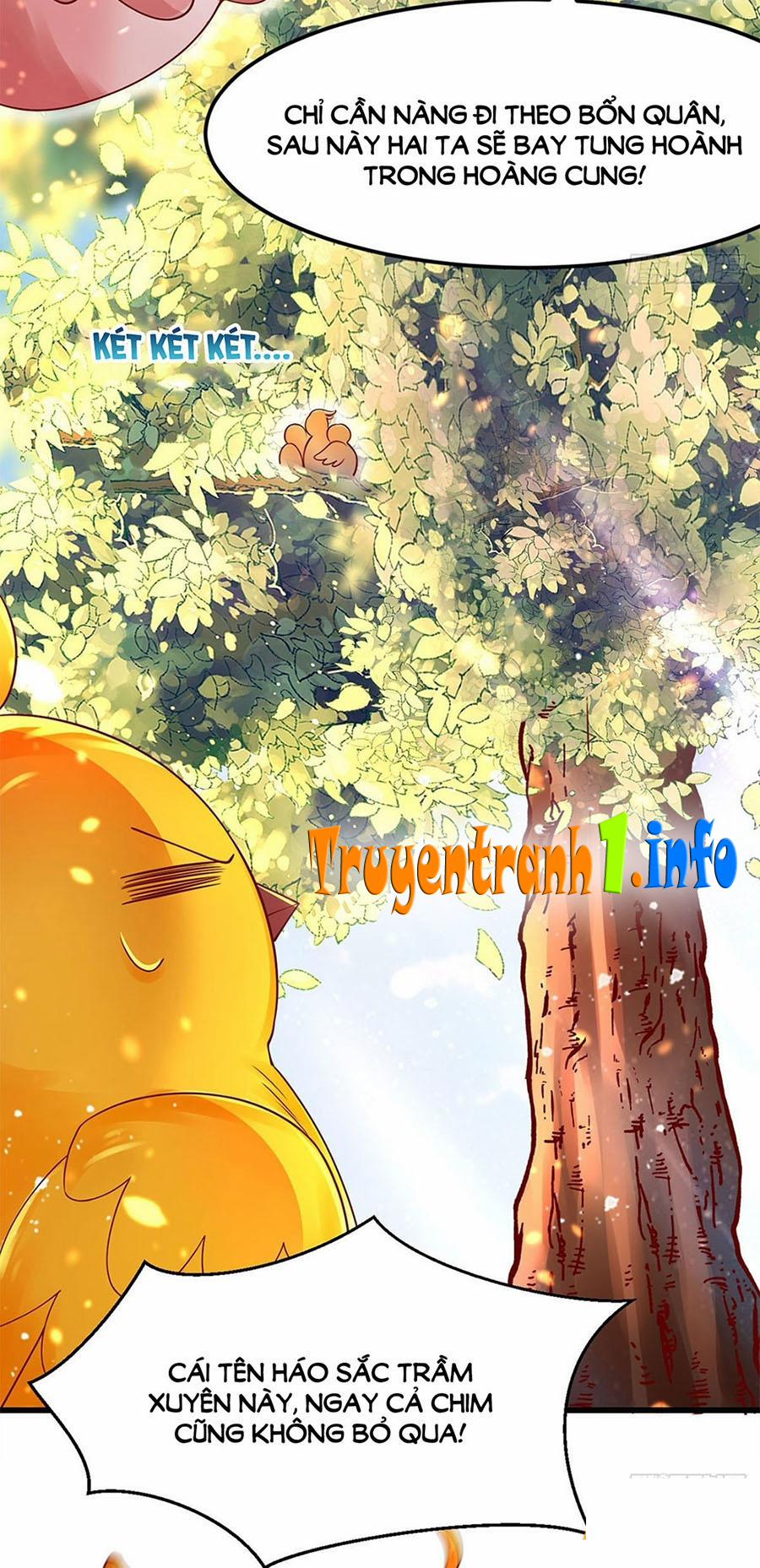 Ngã Tại Hậu Cung Đương Đại Lão 9 trang 12