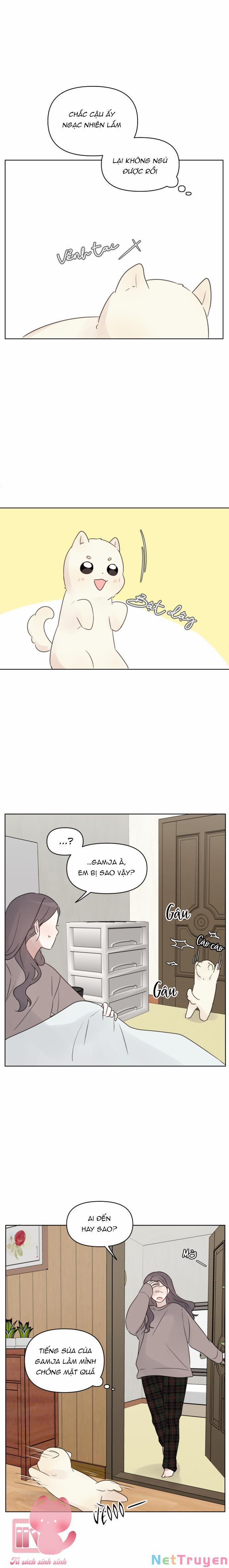 Ngắm Nhìn Điều Tuyệt Vời Nhất 29 trang 14