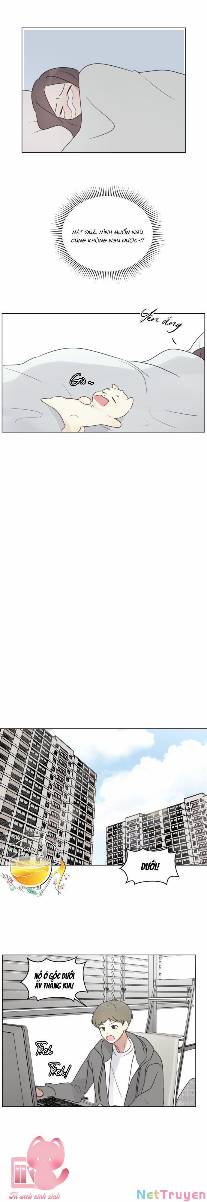 Ngắm Nhìn Điều Tuyệt Vời Nhất 29 trang 6