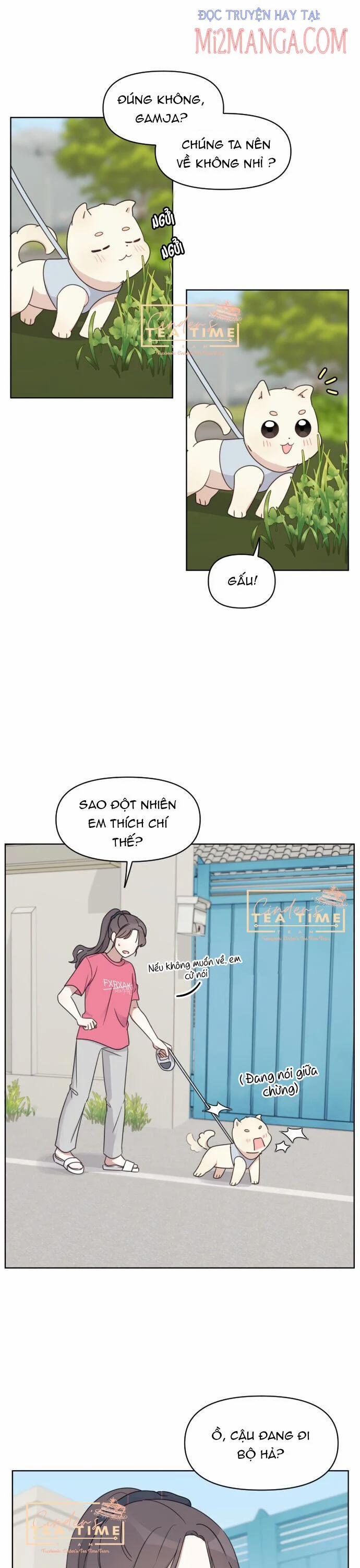 Ngắm Nhìn Điều Tuyệt Vời Nhất 6.5 trang 3