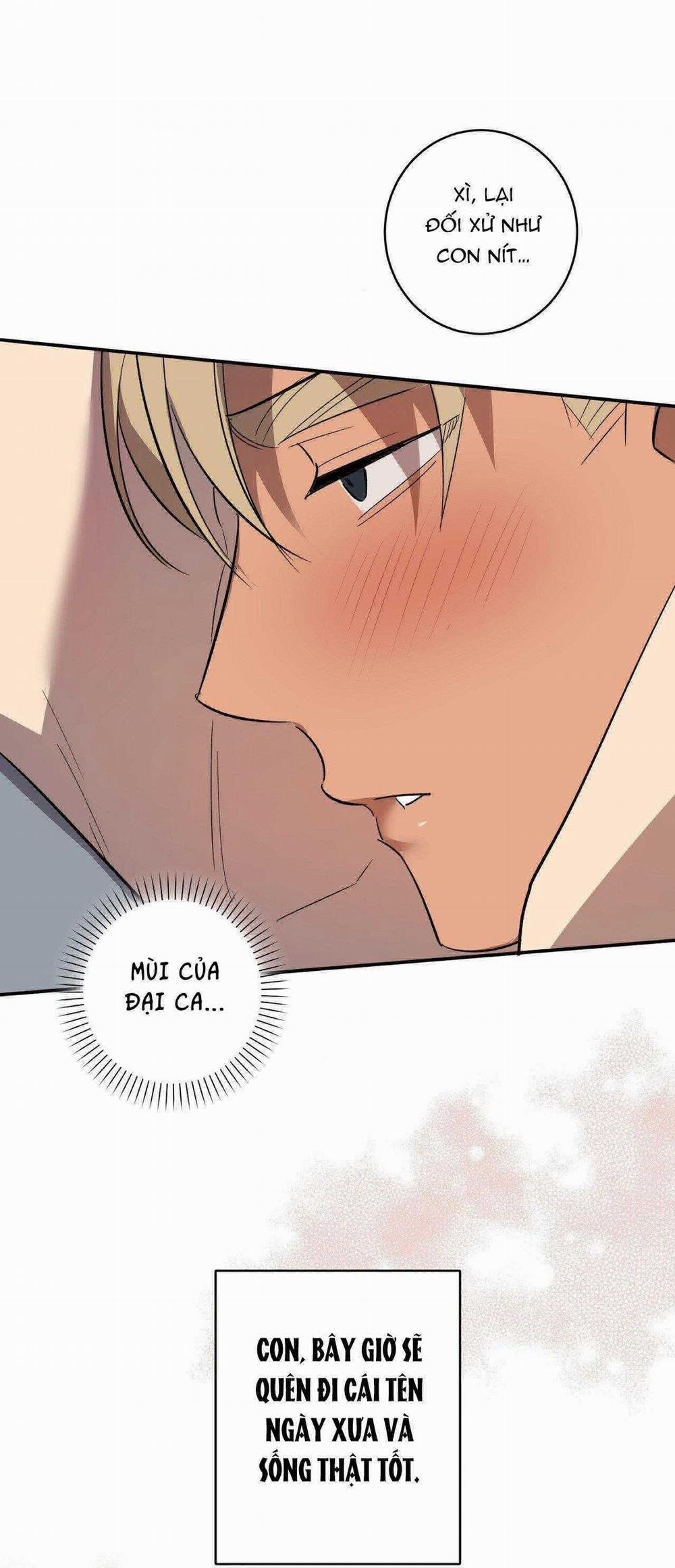 Ngàn Năm Có Một 50 trang 37