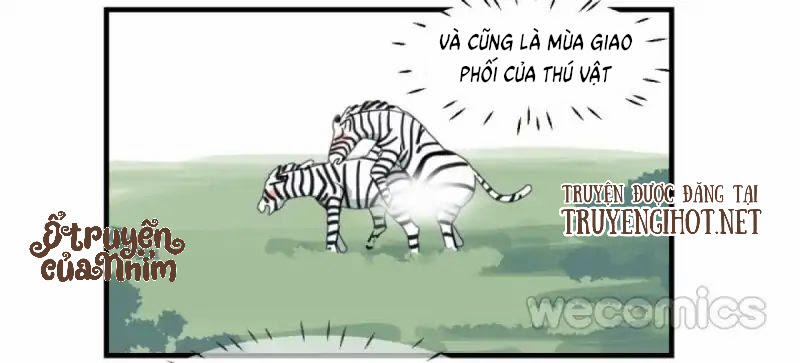 Ngao Ngao Muốn Bị Ăn Thịt 10.1 trang 2