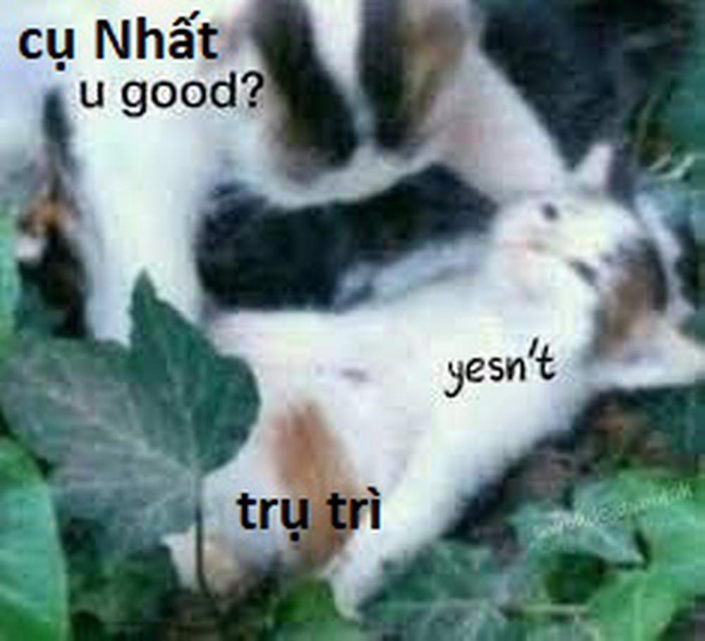 Ngay Cả Khi Hậu Tận Thế, Thật Hạnh Phúc Vẫn Còn Được Sống… 34.2 trang 13