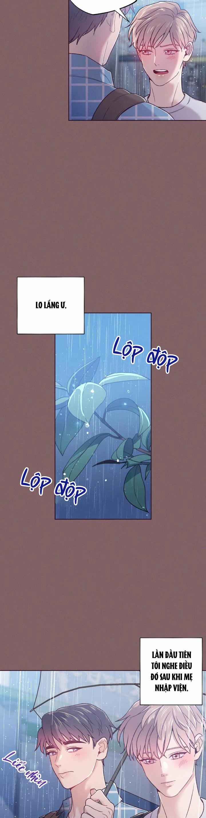 Ngày Mà Em Rơi Xuống 6 trang 11