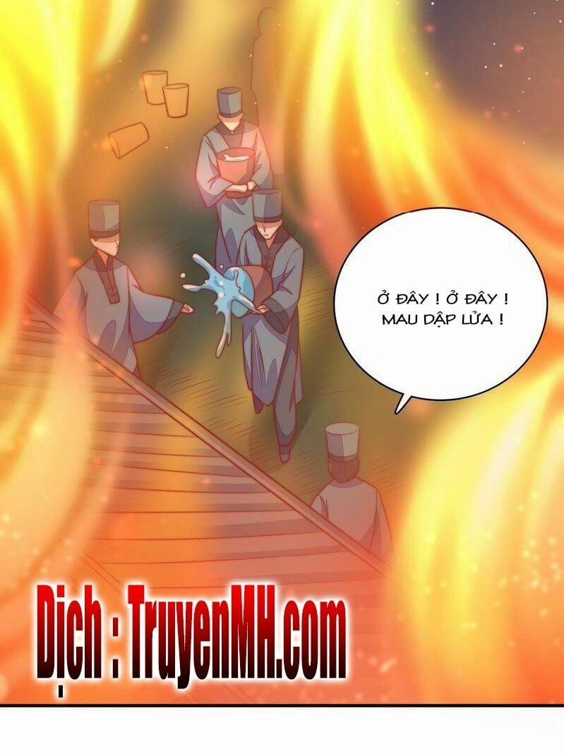 Ngày Nào Thiếu Soái Cũng Ghen 139 trang 14