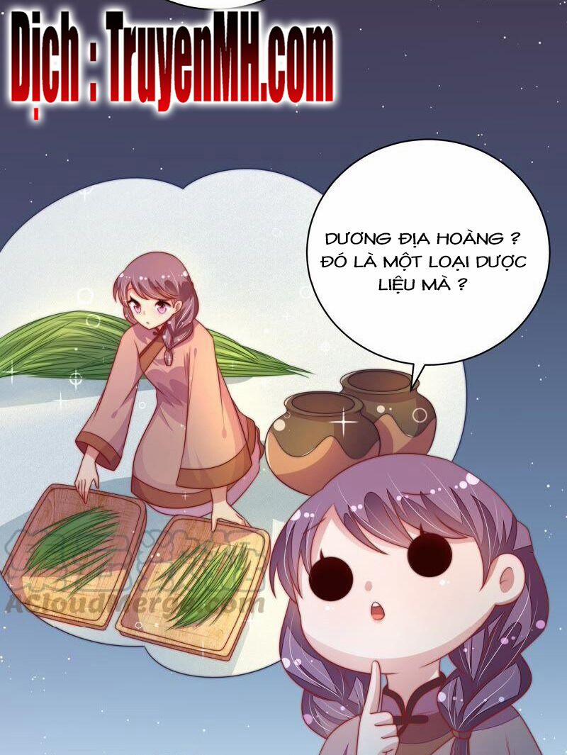 Ngày Nào Thiếu Soái Cũng Ghen 219 trang 2