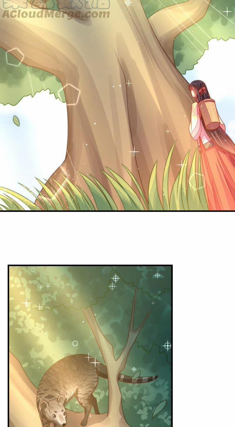 Ngày Nào Thiếu Soái Cũng Ghen 221 trang 5