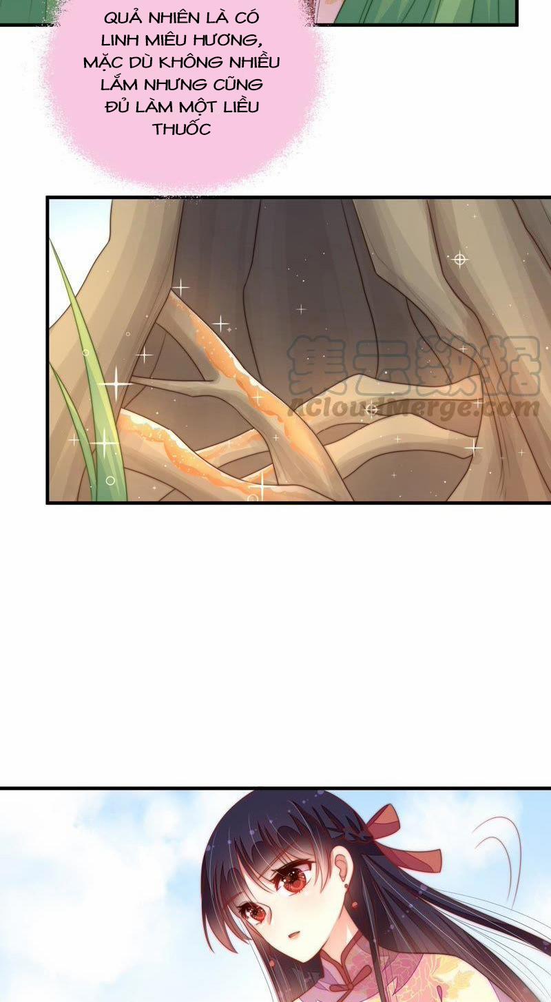 Ngày Nào Thiếu Soái Cũng Ghen 221 trang 7