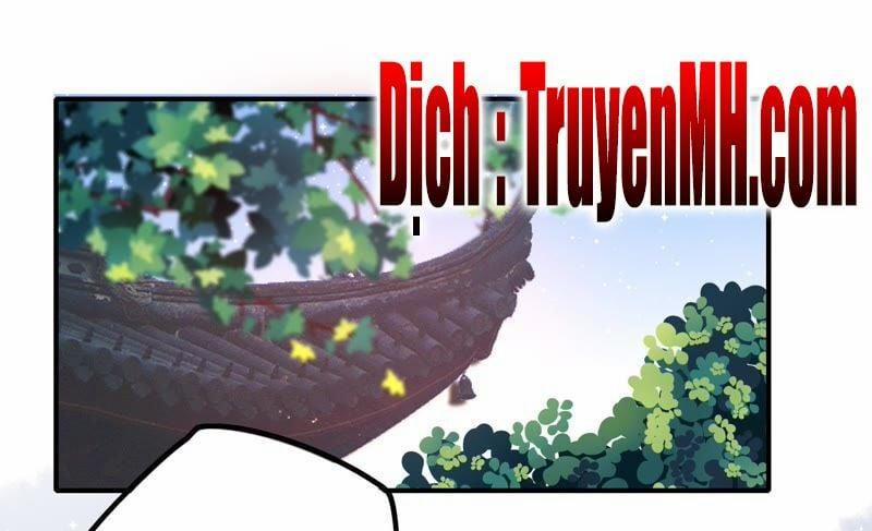 Ngày Nào Thiếu Soái Cũng Ghen 23 trang 1