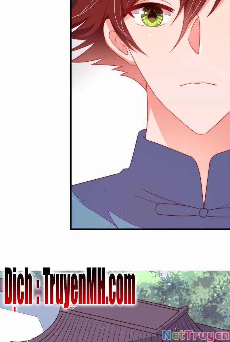 Ngày Nào Thiếu Soái Cũng Ghen 264 trang 7