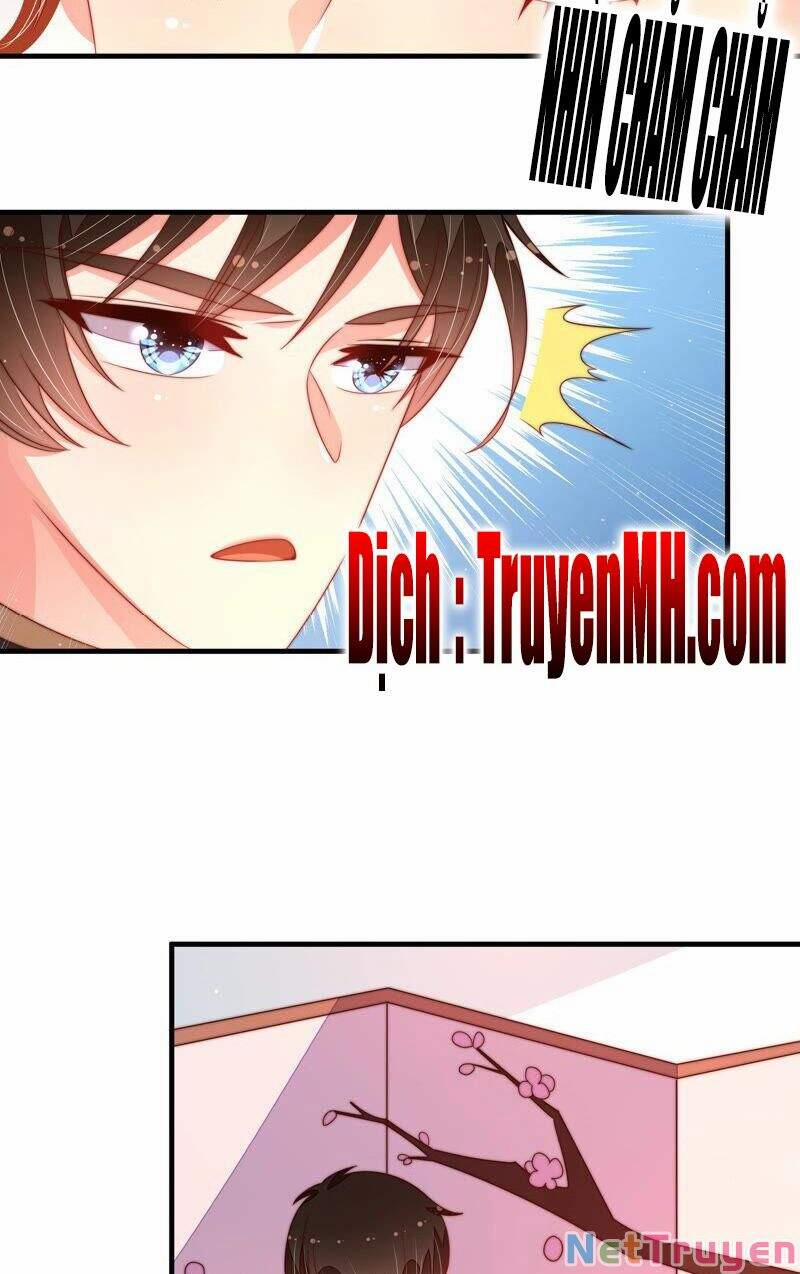 Ngày Nào Thiếu Soái Cũng Ghen 294 trang 12