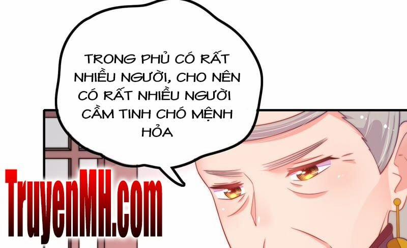 Ngày Nào Thiếu Soái Cũng Ghen 33 trang 13