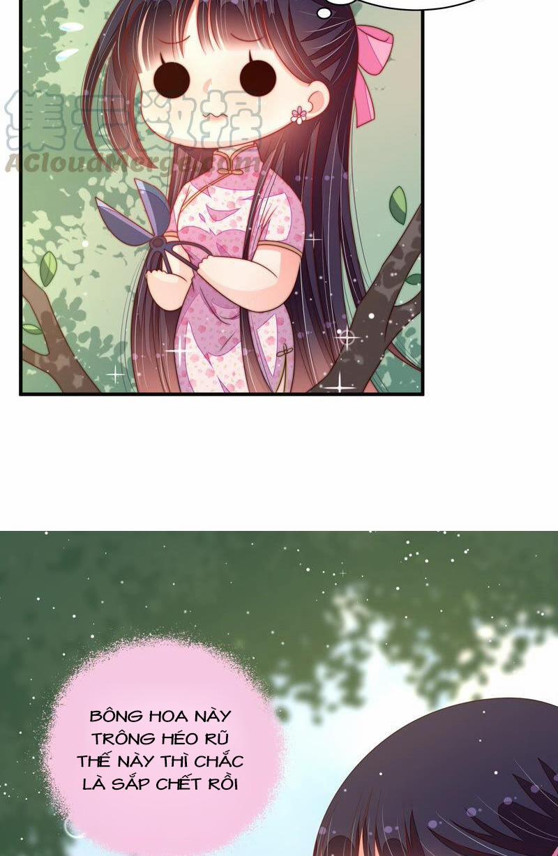 Ngày Nào Thiếu Soái Cũng Ghen 343 trang 16