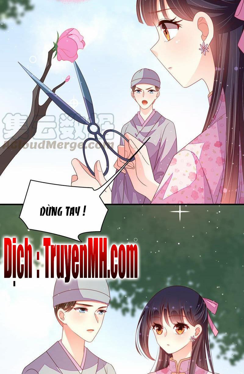 Ngày Nào Thiếu Soái Cũng Ghen 343 trang 17
