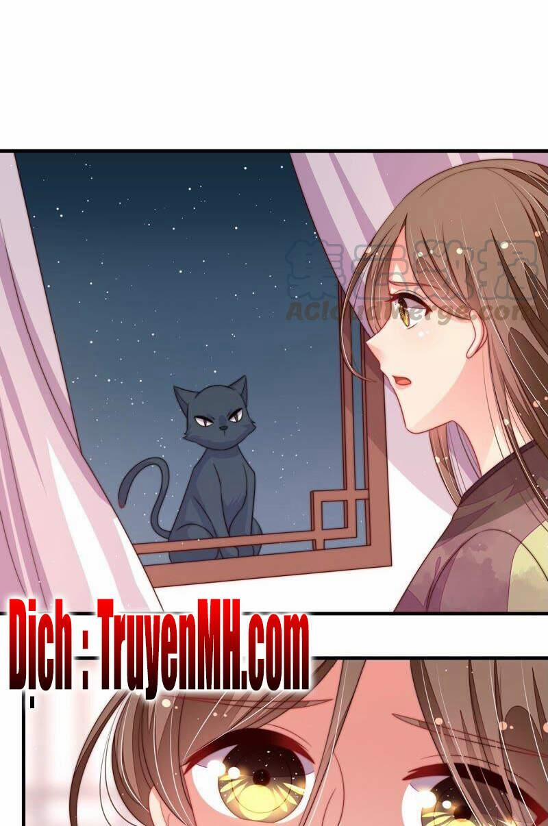 Ngày Nào Thiếu Soái Cũng Ghen 360 trang 1