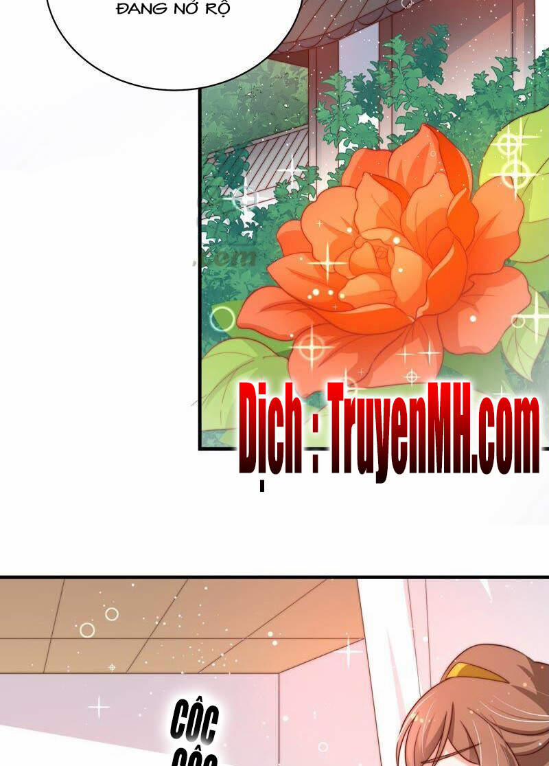 Ngày Nào Thiếu Soái Cũng Ghen 364 trang 8