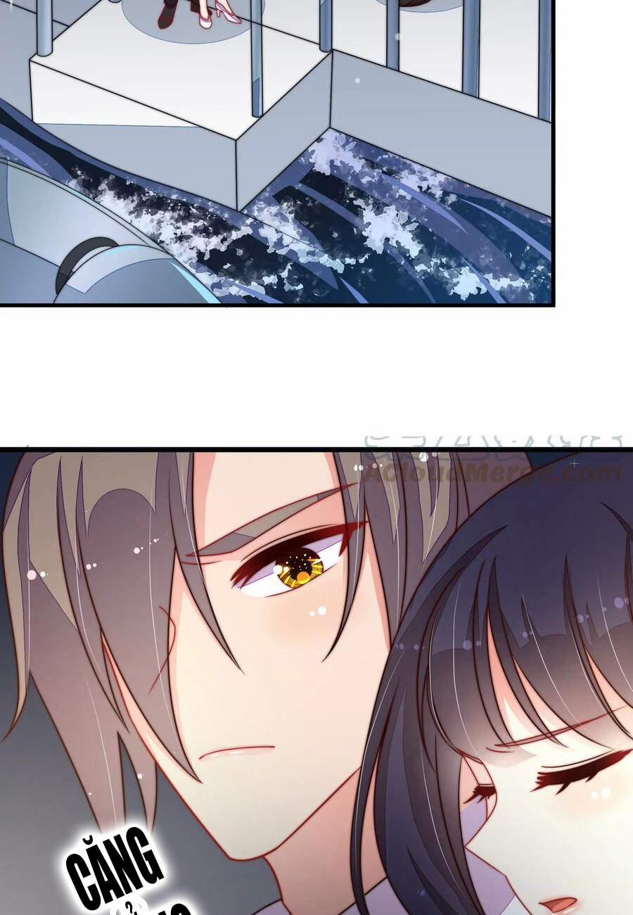 Ngày Nào Thiếu Soái Cũng Ghen 387 trang 5