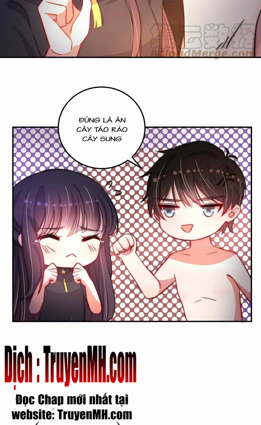 Ngày Nào Thiếu Soái Cũng Ghen 392 trang 13