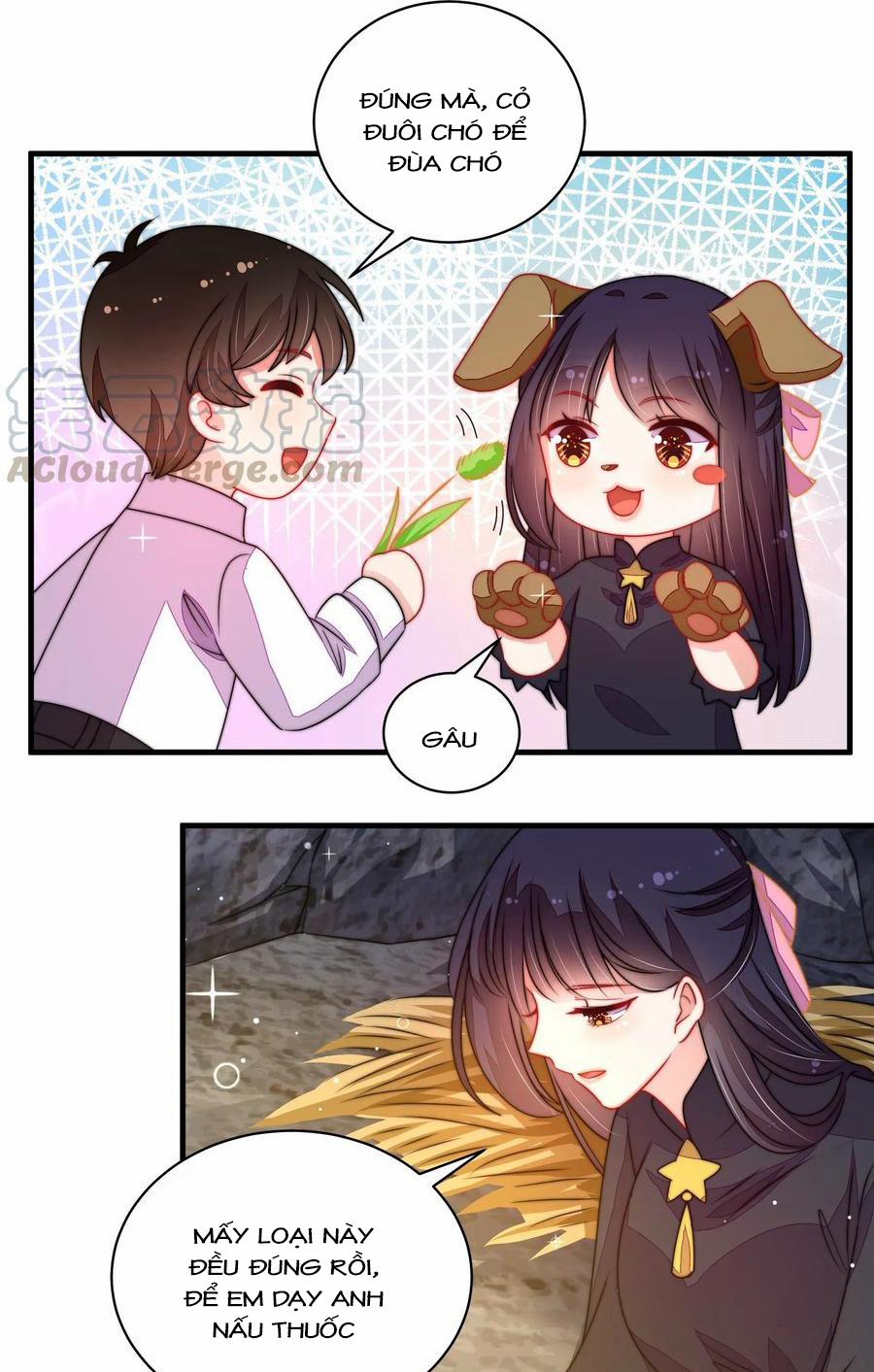 Ngày Nào Thiếu Soái Cũng Ghen 394 trang 13