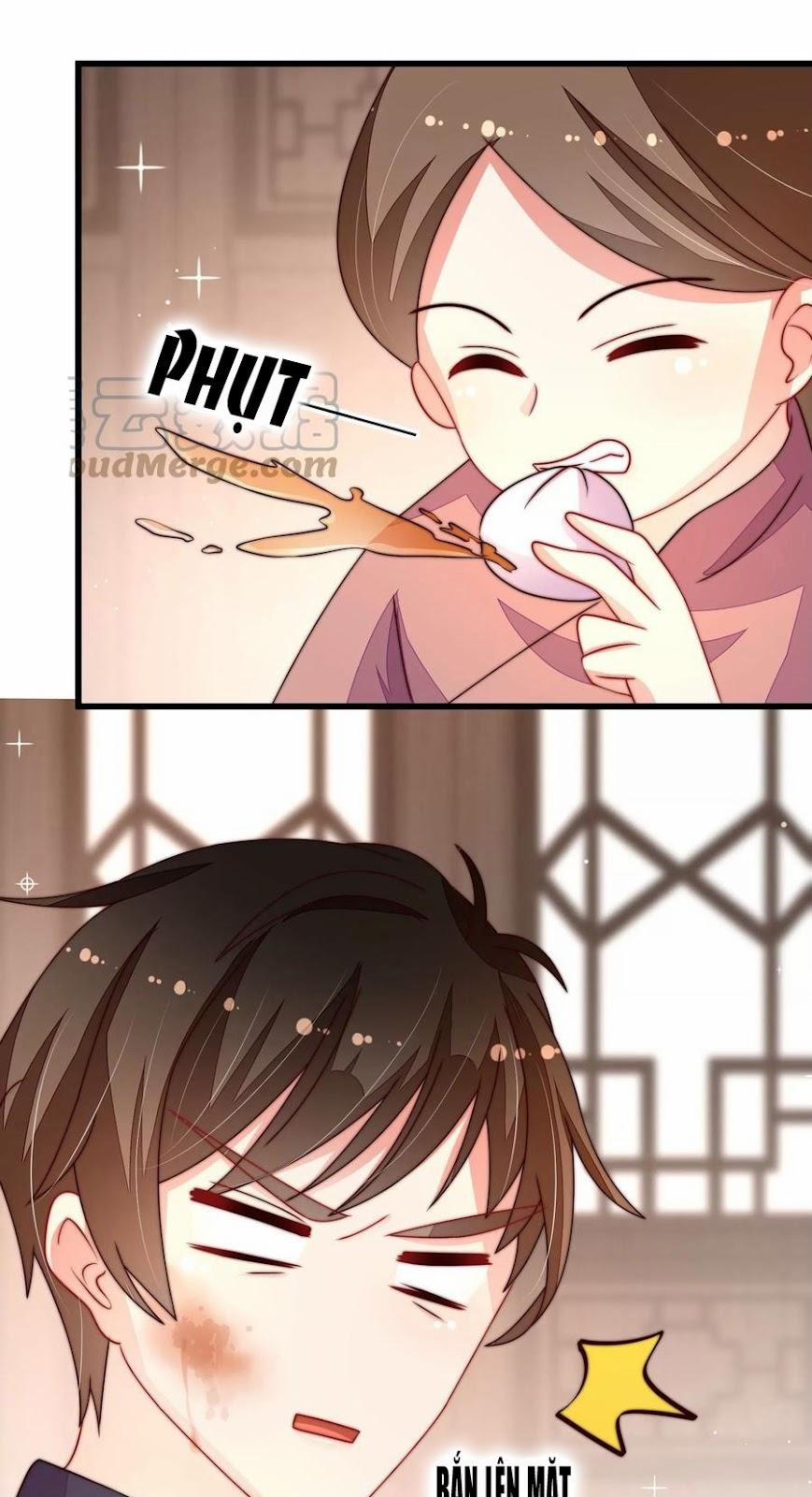 Ngày Nào Thiếu Soái Cũng Ghen 452 trang 1