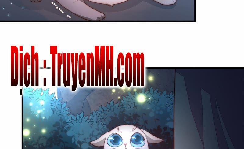 Ngày Nào Thiếu Soái Cũng Ghen 53 trang 51