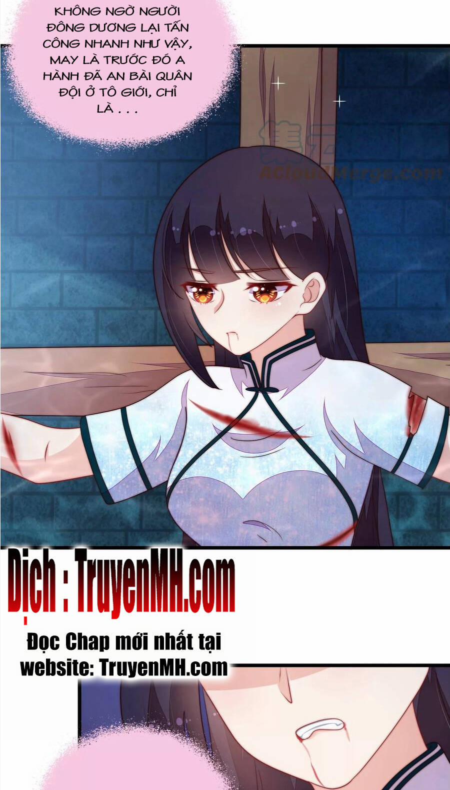 Ngày Nào Thiếu Soái Cũng Ghen 634 trang 12