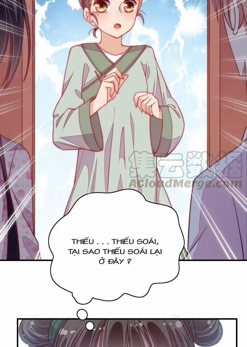 Ngày Nào Thiếu Soái Cũng Ghen 82 trang 7