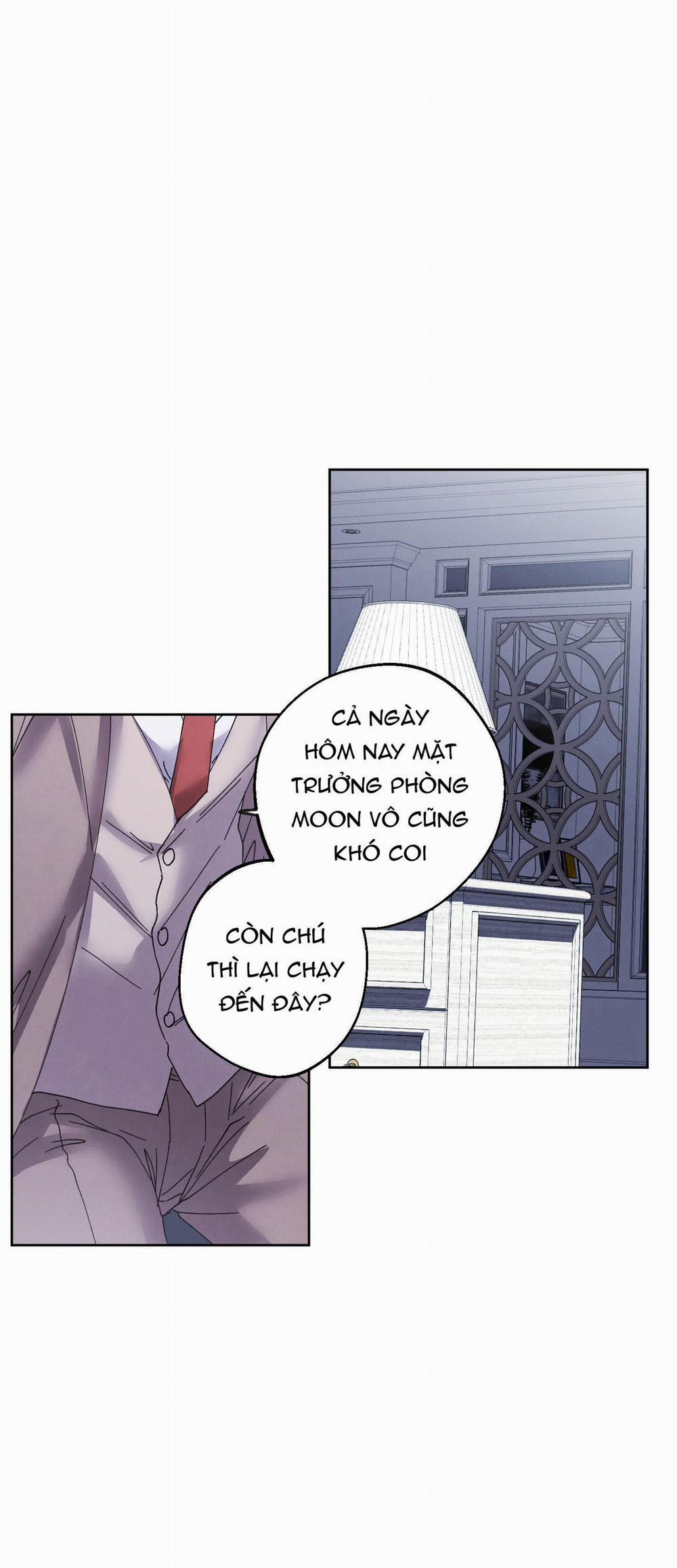 Ngày Trăng Không Rạng 6 trang 13