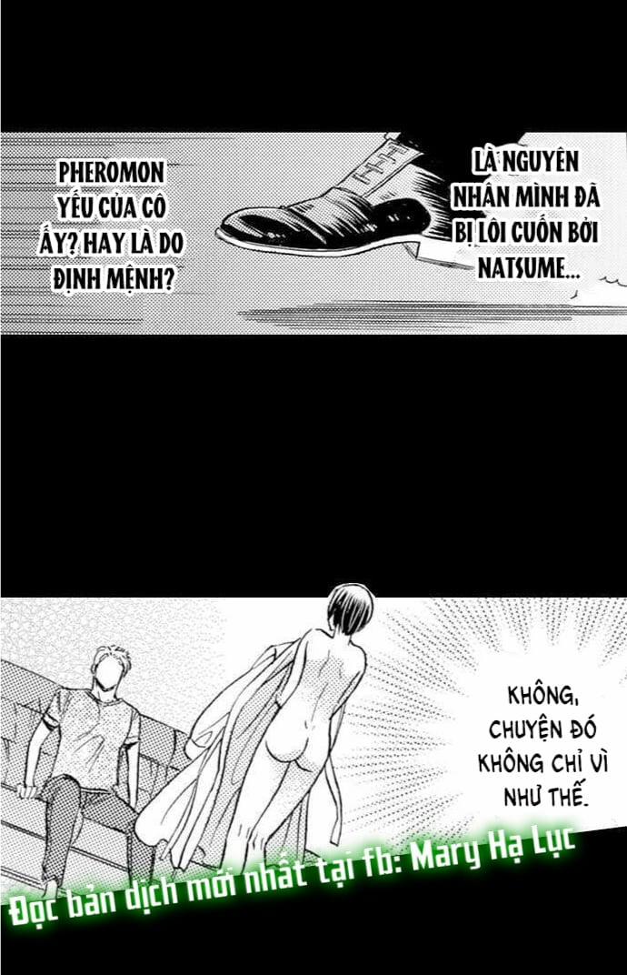 Nghi Phạm Alpha Và Thanh Tra Omega~ Ngã Rẽ Định Mệnh Tuyệt Đối Không Được Yêu 21.2 trang 0