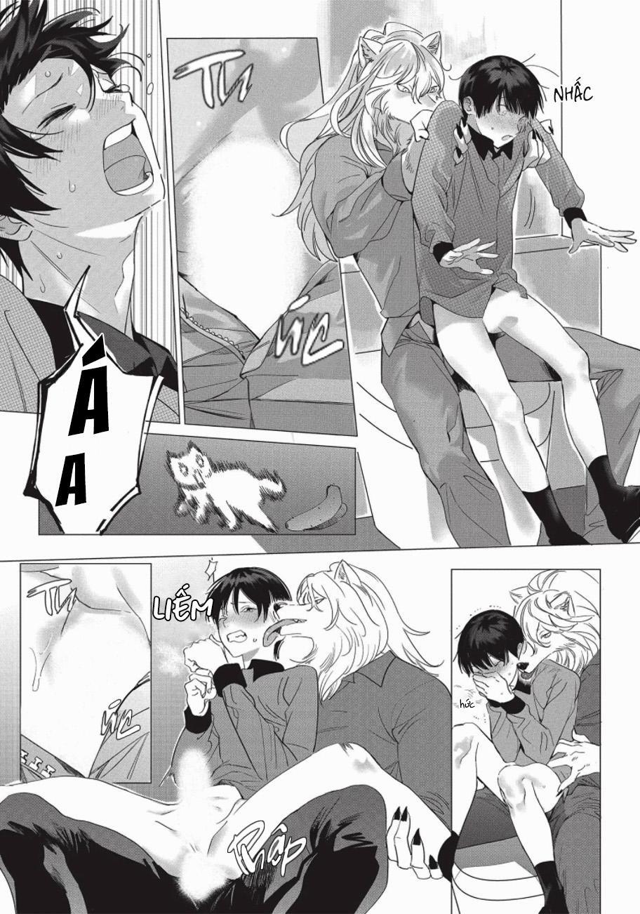 Nghĩa Vụ Của Tế Phẩm 2 trang 19