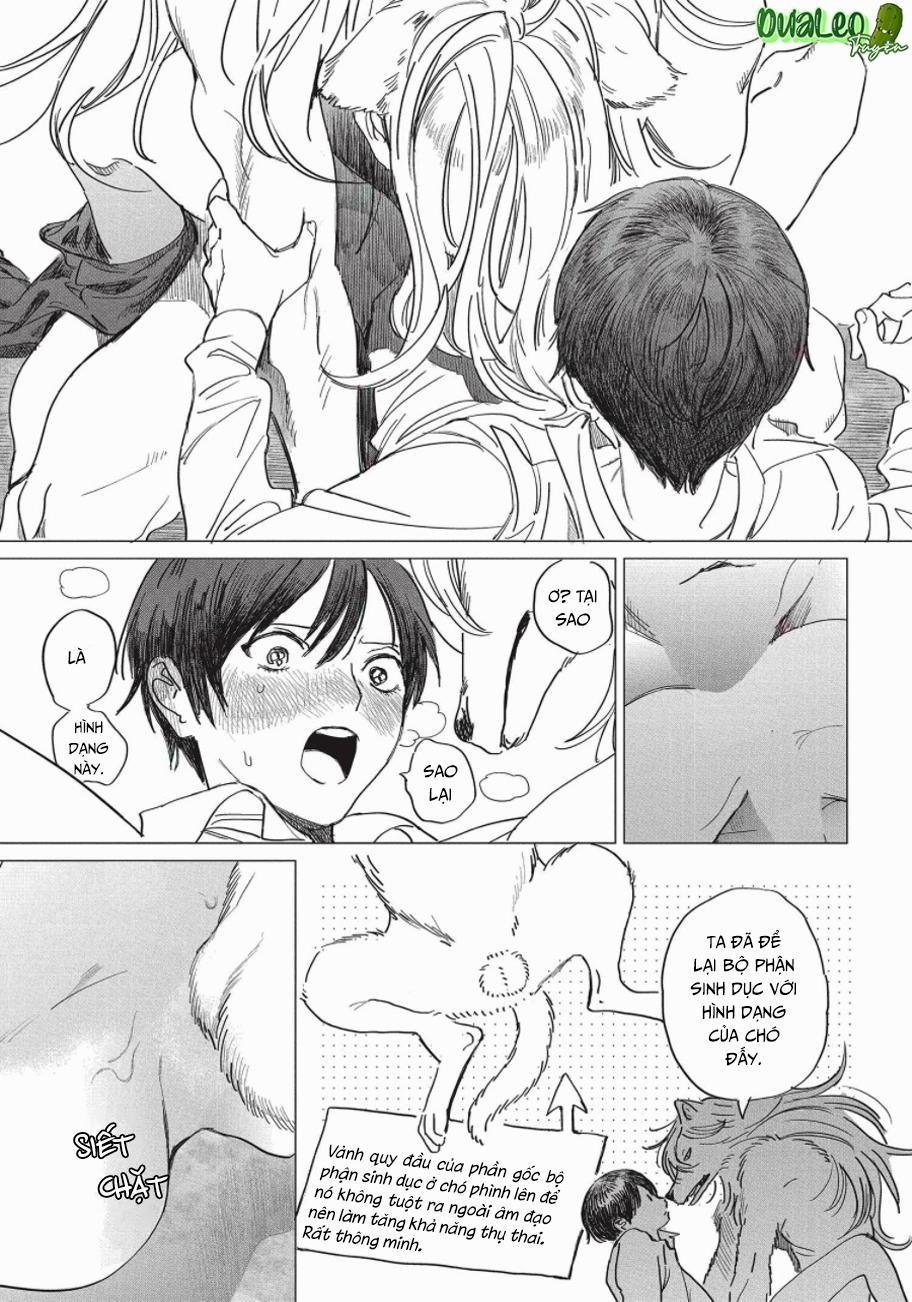 Nghĩa Vụ Của Tế Phẩm 3 trang 14