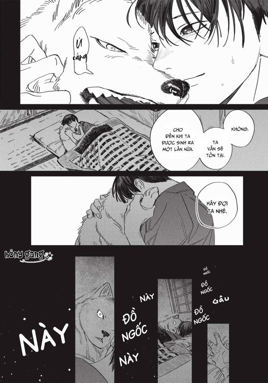 Nghĩa Vụ Của Tế Phẩm 5 trang 12