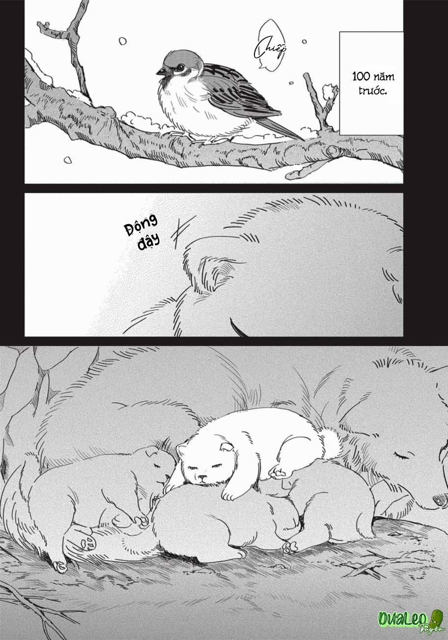 Nghĩa Vụ Của Tế Phẩm 5 trang 2