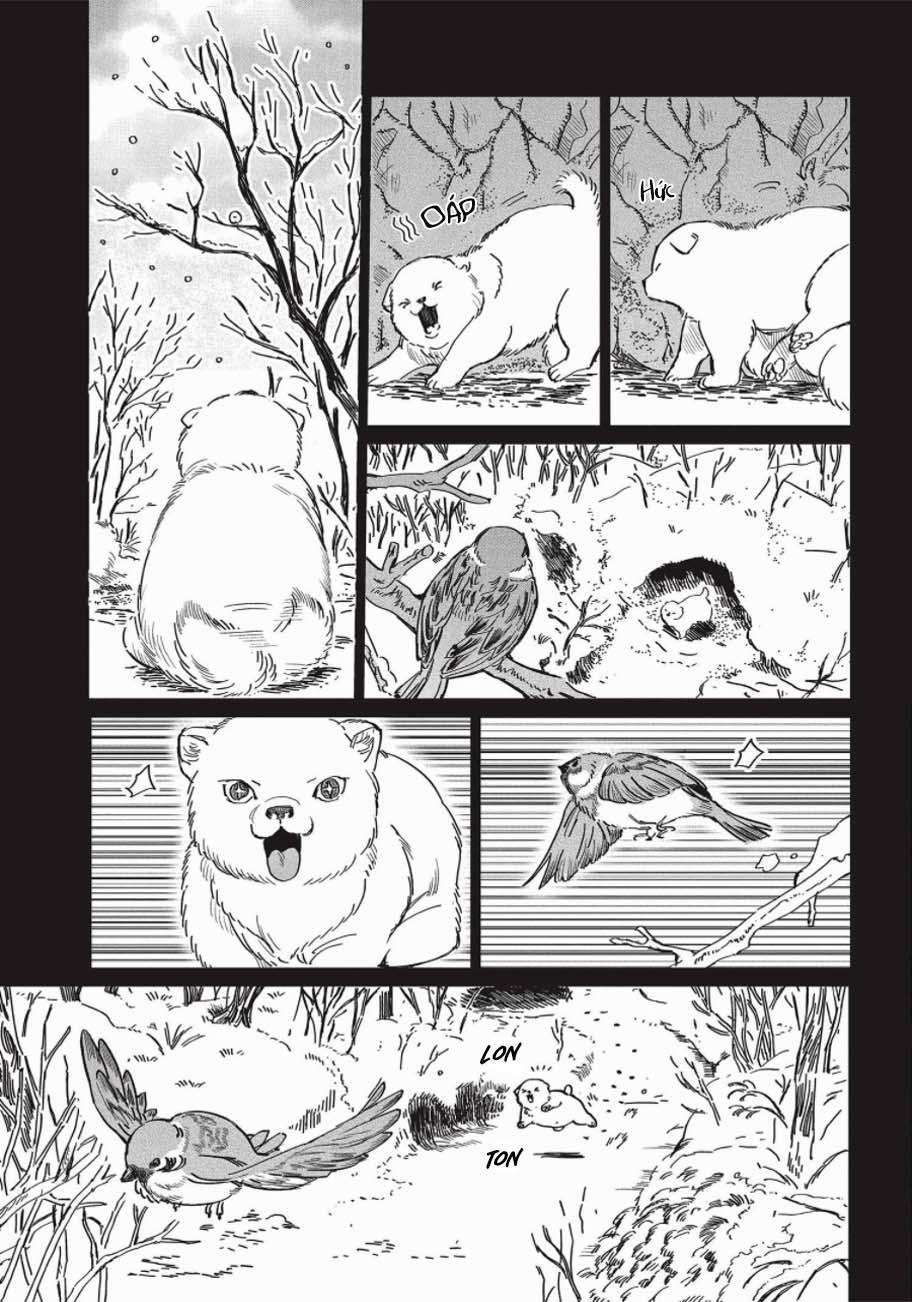 Nghĩa Vụ Của Tế Phẩm 5 trang 3